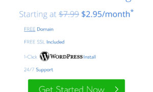Bluehost for Bloggers